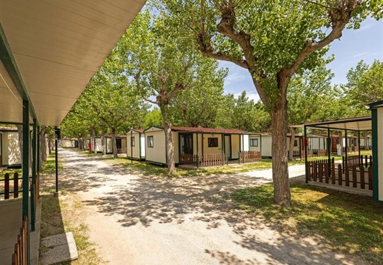 Camping Classe Lido di Dante - Lido Adriano